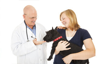 Vet with woman and her pet Vet with woman and her pet
