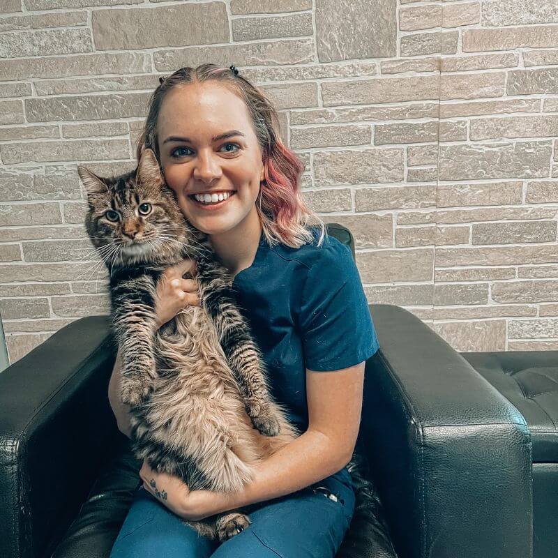 Lexi